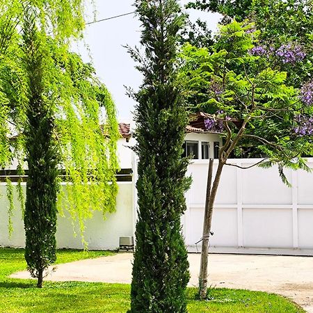 Seaside Jacaranda Lägenhet Schinias Exteriör bild