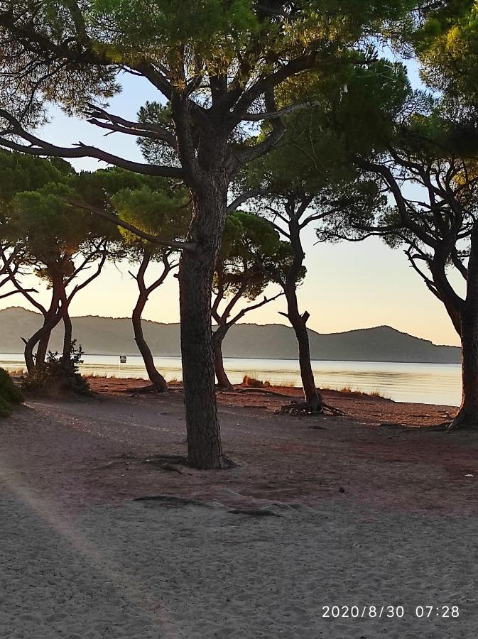 Seaside Jacaranda Lägenhet Schinias Exteriör bild