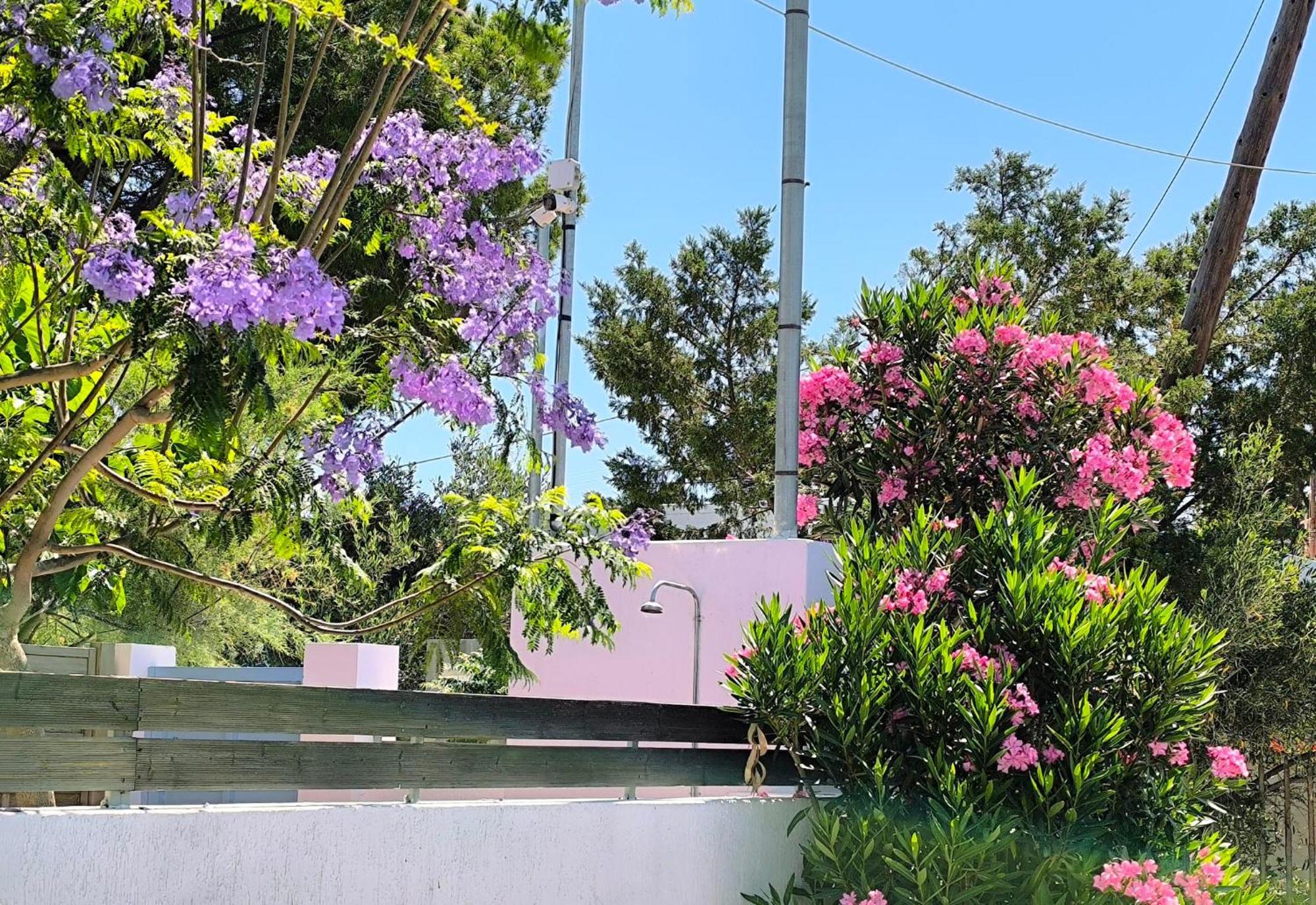 Seaside Jacaranda Lägenhet Schinias Exteriör bild