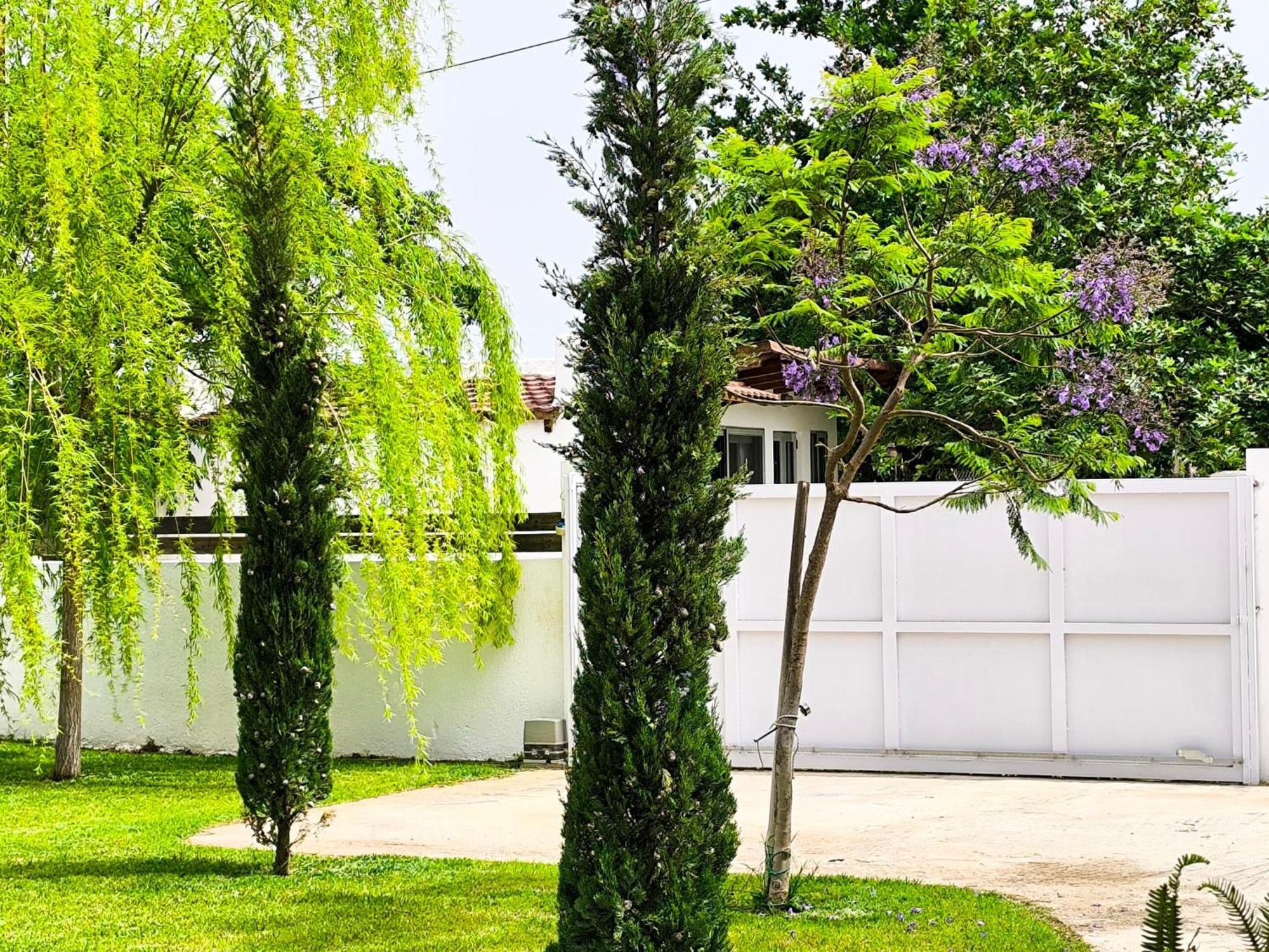 Seaside Jacaranda Lägenhet Schinias Exteriör bild